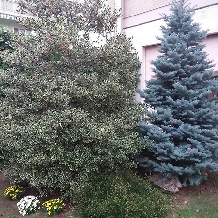 Maison Lavande 住宿加早餐酒店