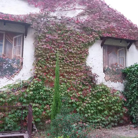 Maison Lavande 3* 拉奎拉