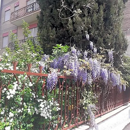 Bed & Breakfast Maison Lavande 3*