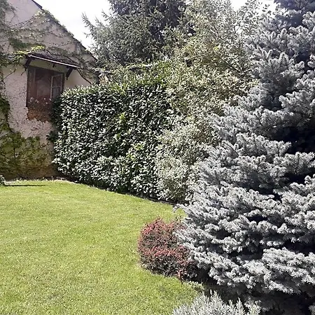 Maison Lavande Bed & Breakfast