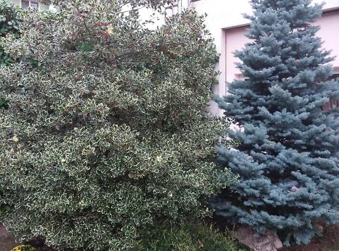 Maison Lavande Bed & Breakfast